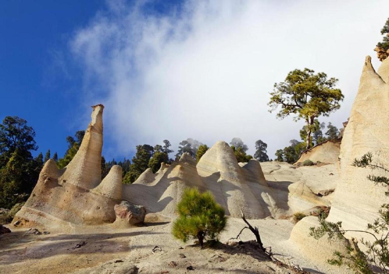 Apartmán El Peque De Tamaide San Miguel De Abona Exteriér fotografie